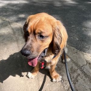 Meet your Posher, Patrizia